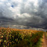 Road To Heaven