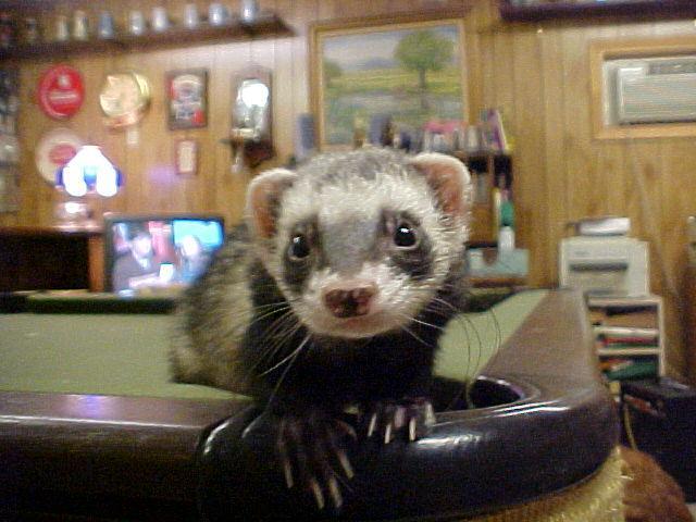 flash on pooltable