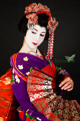 Maiko - Geisha Part IV by Naraku-Sippschaft