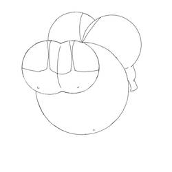 Inflation base