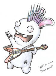 Punk rabbid