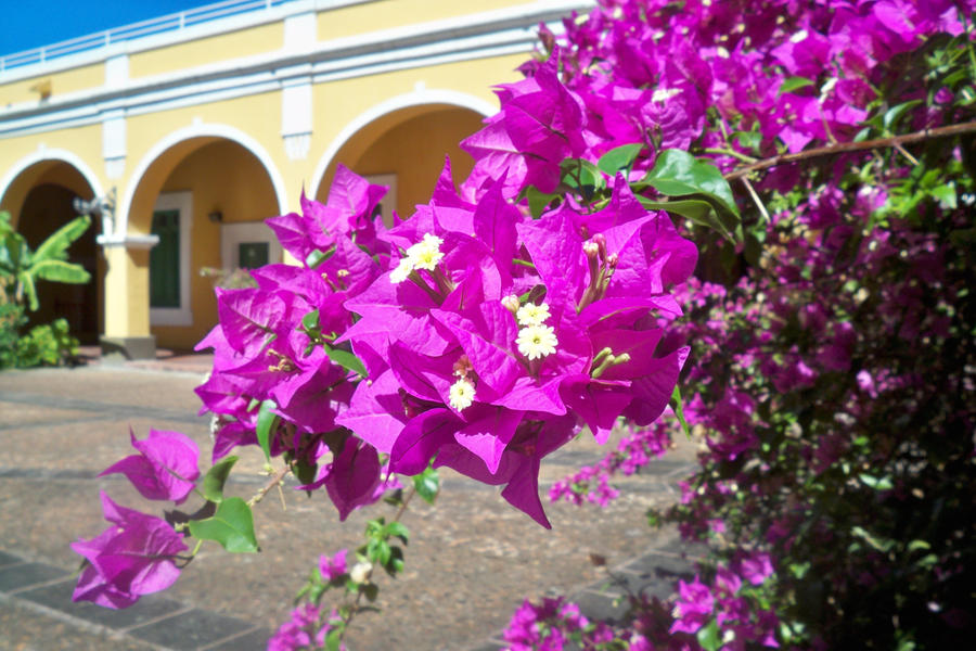 Old San Jaun by Phatmouse09 on DeviantArt