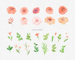 Free Daylight Watercolor Flower Clipart, PNG