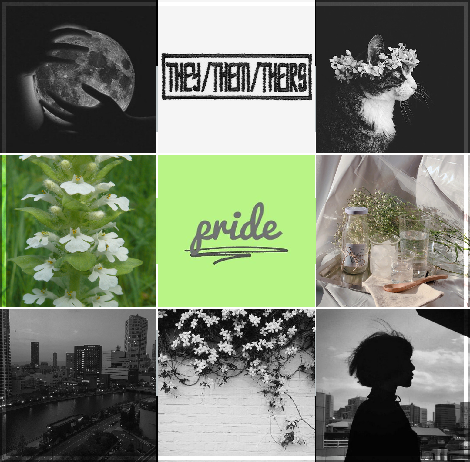 Lgbt Moodboards Agender By Littlesunset264 On Deviantart Lgbt Moodboards Agender By Littlesunset264 On Deviantart