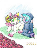 Flower Crowns