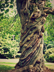 Twisting Tree