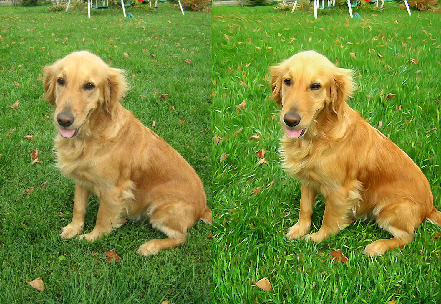 Jeanna's Goldens