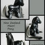 New Zealand Maori Pony