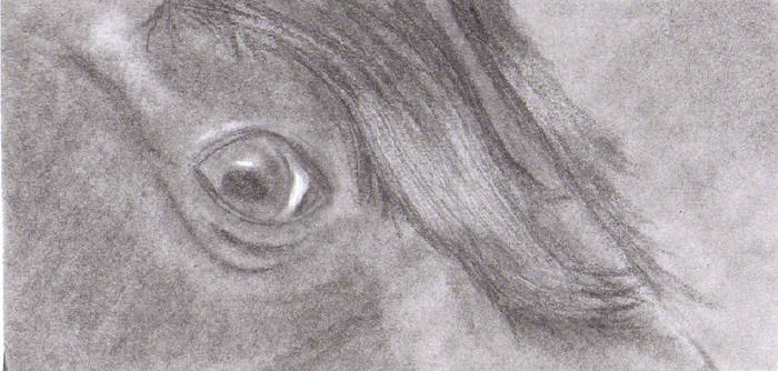 Charcoal Eye 2