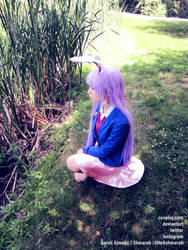 Reisen by the Water