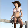 Cowgirl on fence