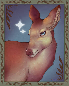 portrait of a deer