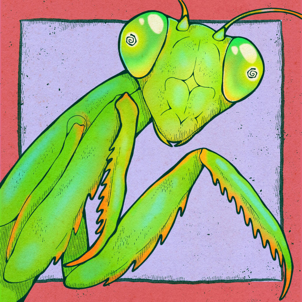 Mants Deviantart mantis by lichenbones on DeviantArt