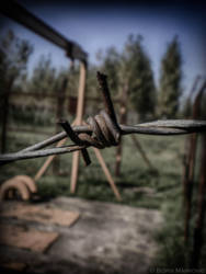 Barbed Wire (2)