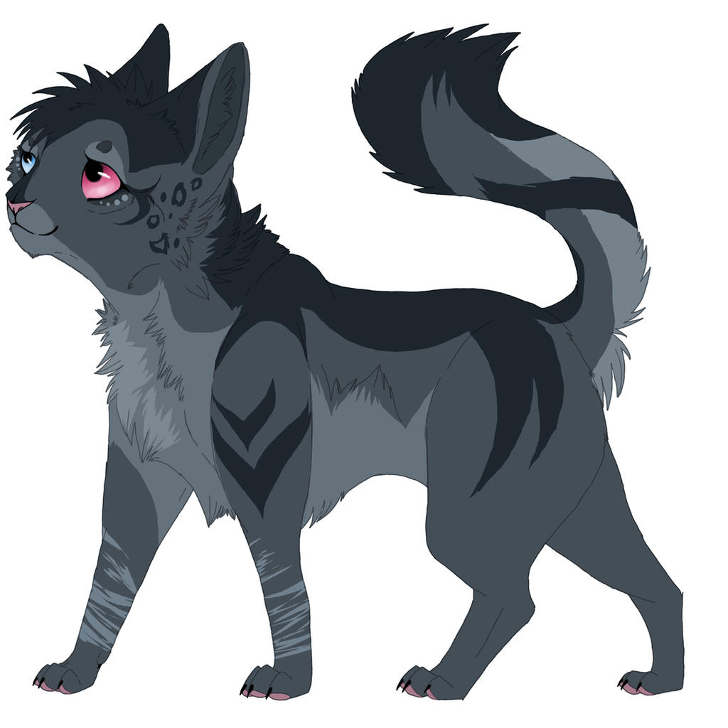 Kitten Adoptable Auction CLOSED