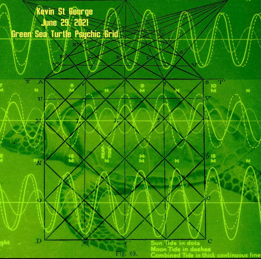 Green Sea Turtle GeoMagnetic Sensory Visualization by kevinstgeorge on ...