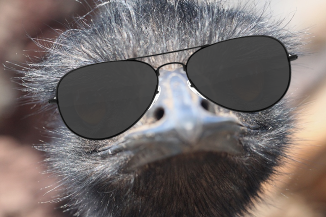 Emu Biting I LET AN EMU BITE A GUY : r/entitledparents