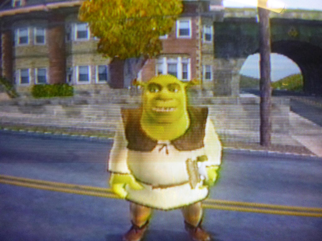 Tony Hawk S Underground 2, shrek Super Party, Shrek The Musical, shrek The  Third, shrek 2, Shrek Film Series, shrek, Internet meme, mascot, heroes