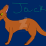 Jack the Cat