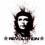 Revolution with Che Guevara