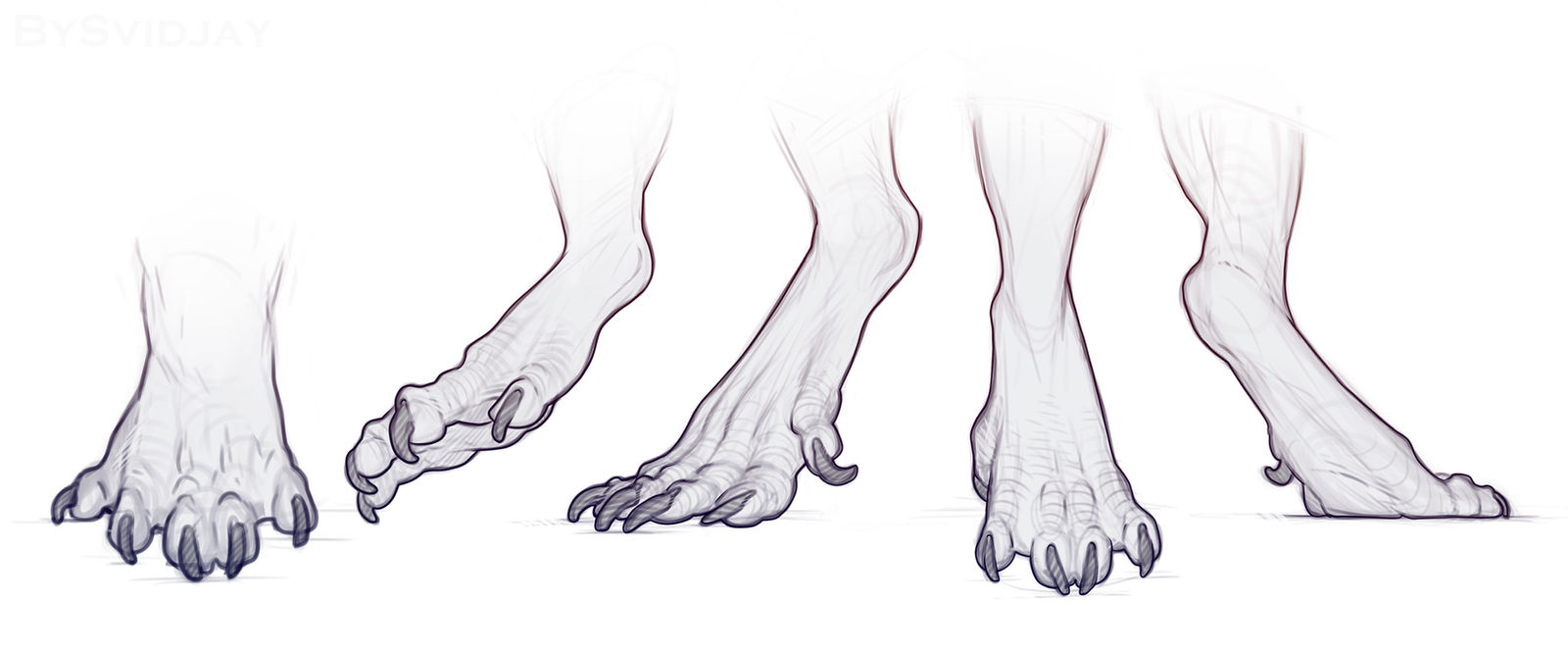 Paws by Svidjay on DeviantArt