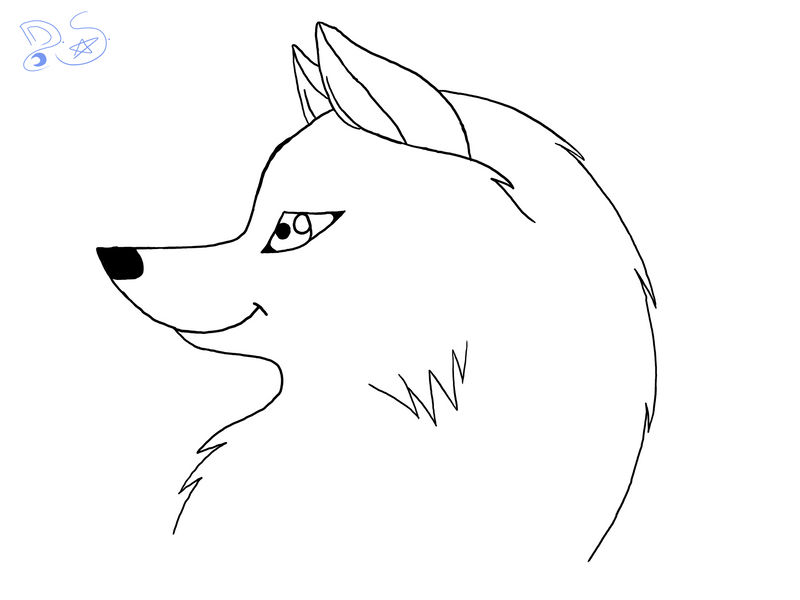 wolf head lineart