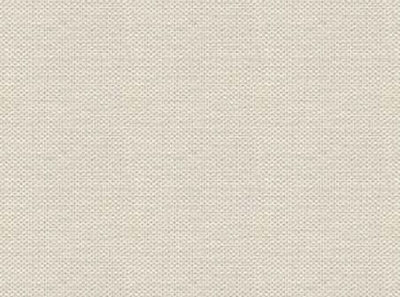 Seamless Paper Texture