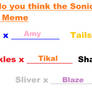 Who Do You Think The Sonic Boys Should Date meme