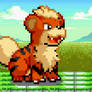 Giant Growlithe