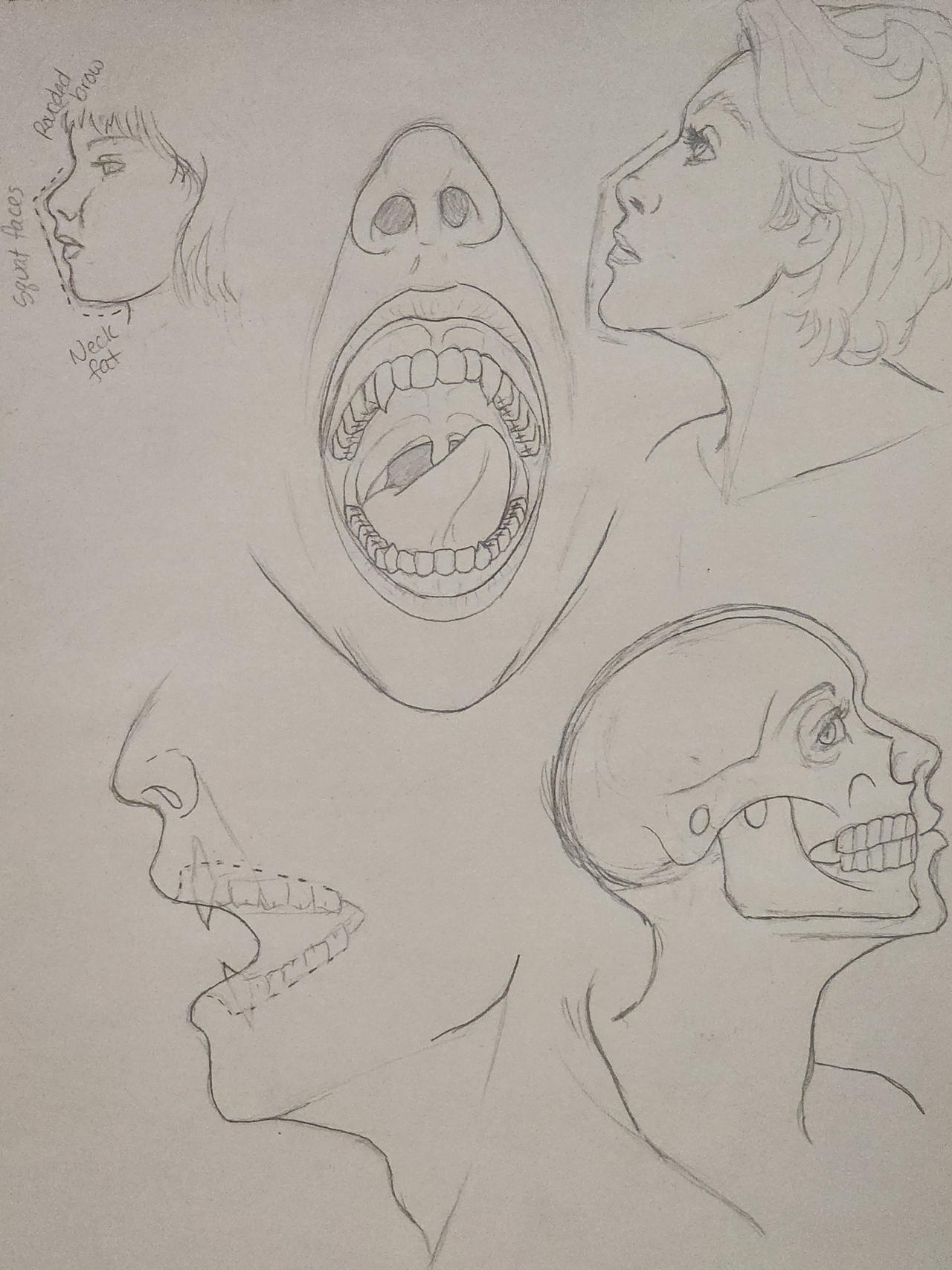 Human Anatomy Doodle: Faces by witchypooh713 on DeviantArt