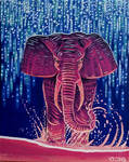 the Elephant