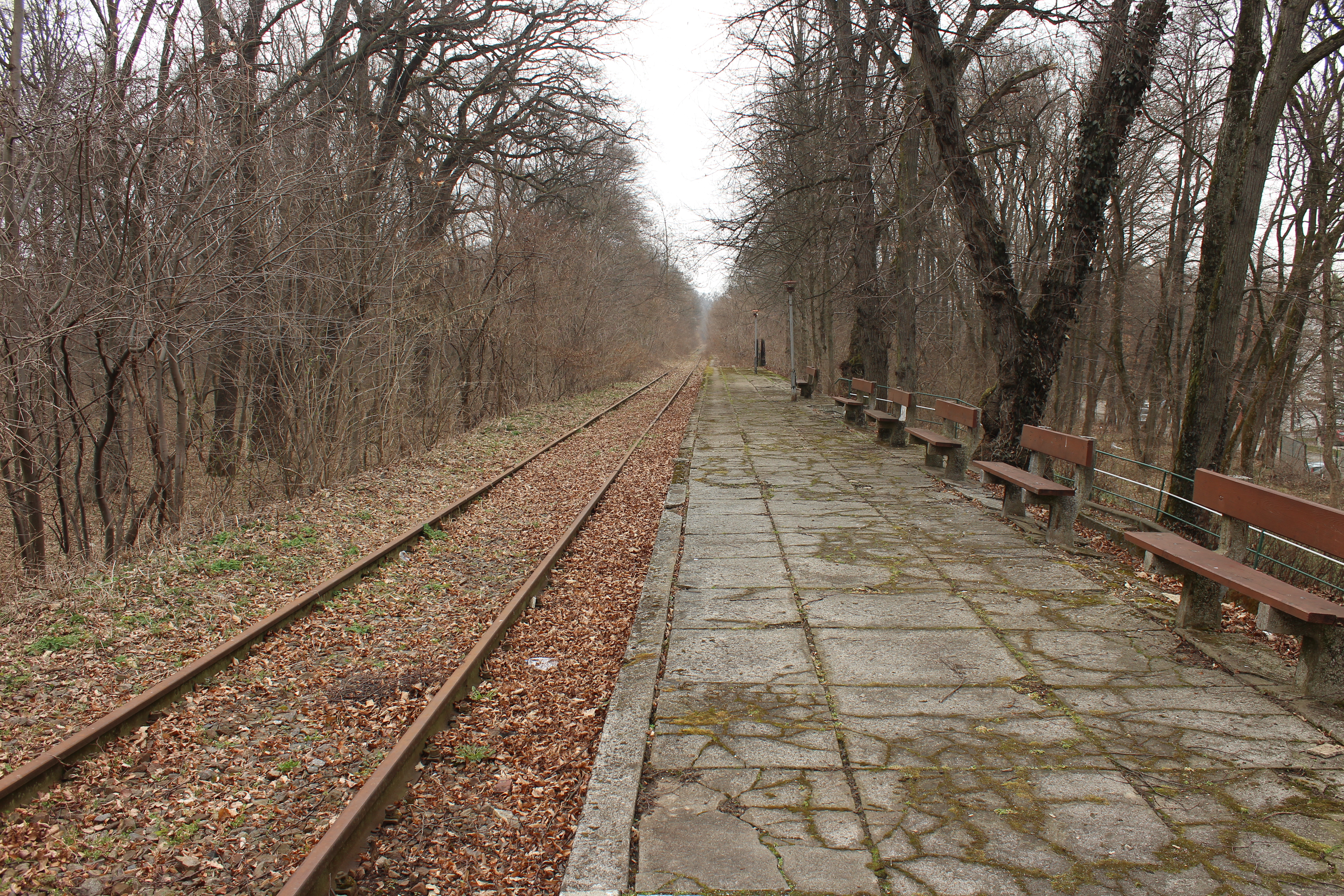 Waiting for the train that never comes