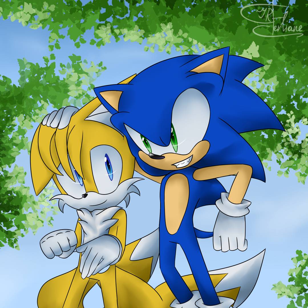 Sonic and Tails by Ferliane on DeviantArt