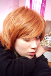 Nishio Nishiki Wig