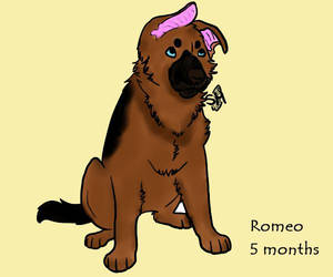 Romeo