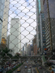 City Inside a Net