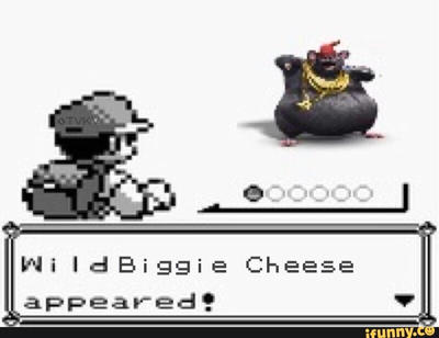 Pokemon Biggie cheese 73