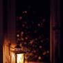 week13/day2: fairylight