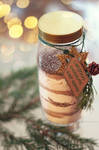 mason jar cookies by cloe-may