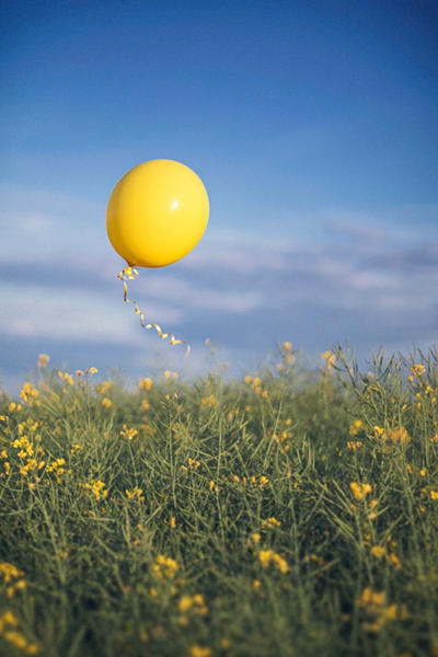 24.1 yellow by cloe-may