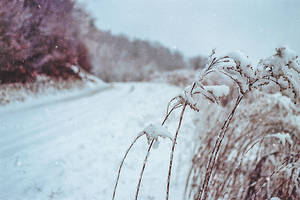 snowy road