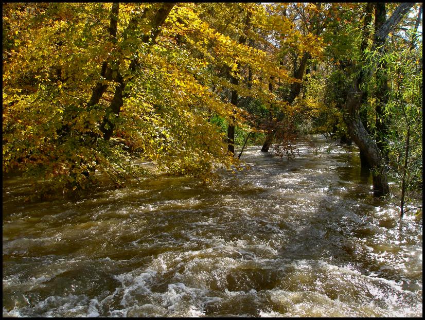 River of Water