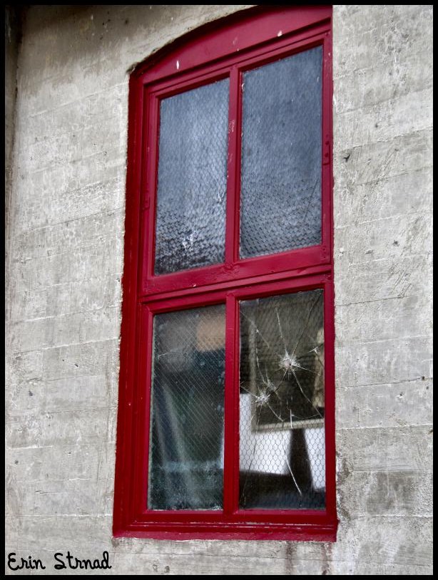 Red Window