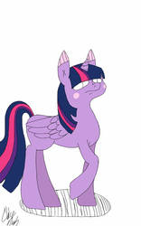 Twilight Sparkle is judging your life decisions.