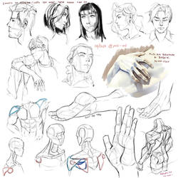 Study1 06-2023 - heads hands and feet study