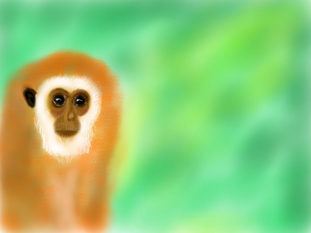 Deviantart 2007 Monkey Monkey by OG-C on DeviantArt