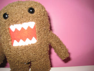 Domo