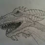 Dragon Head