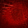Red Cracked Yogurt