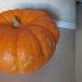 Pumpkin picture 1